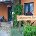 Lawendowy Zakątek