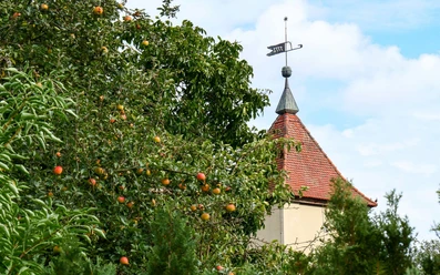 Dorfkirche Langerwisch