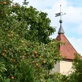 Dorfkirche Langerwisch