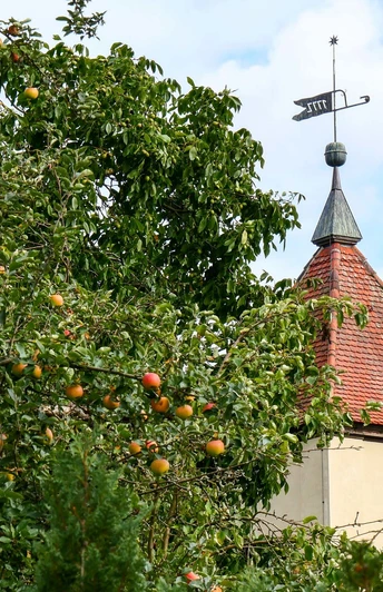 Dorfkirche Langerwisch