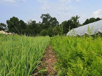 Albertinenhof Havelland