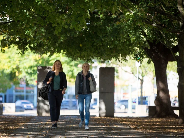 Stadtspaziergang durch Frankfurt (Oder)