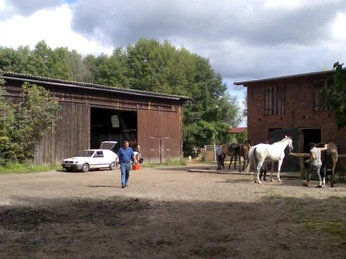 Reiterhof Richter, Reit- und Fahrschule