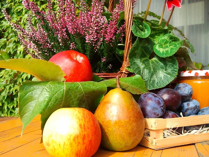 Angebot im Hofladen Lindicke