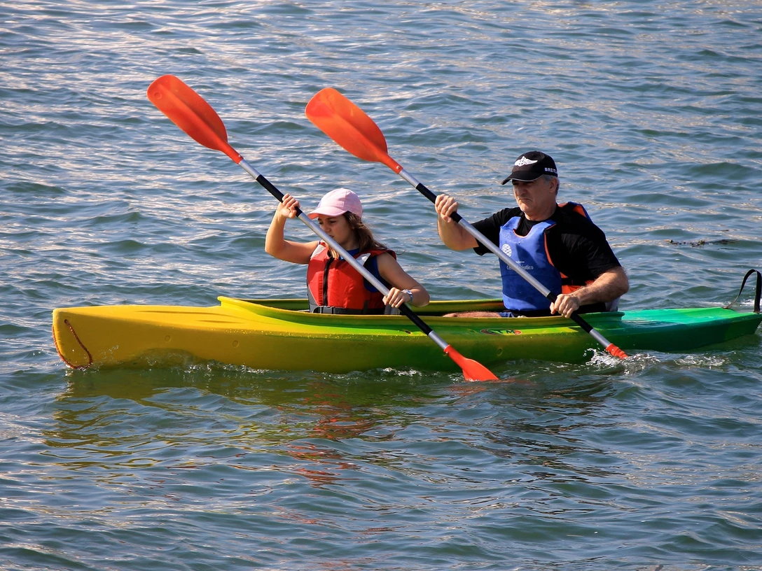 Foto: Luis Diniz/Pixabay