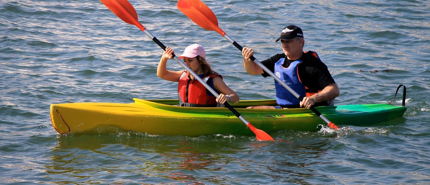 Foto: Luis Diniz/Pixabay