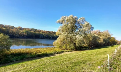 Blick auf die Oder