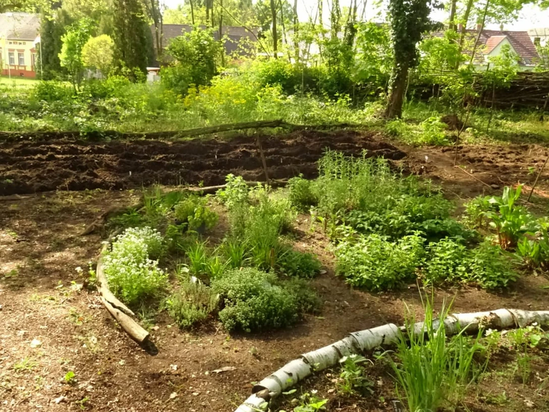 Kräutergarten Kunstgut Krahne