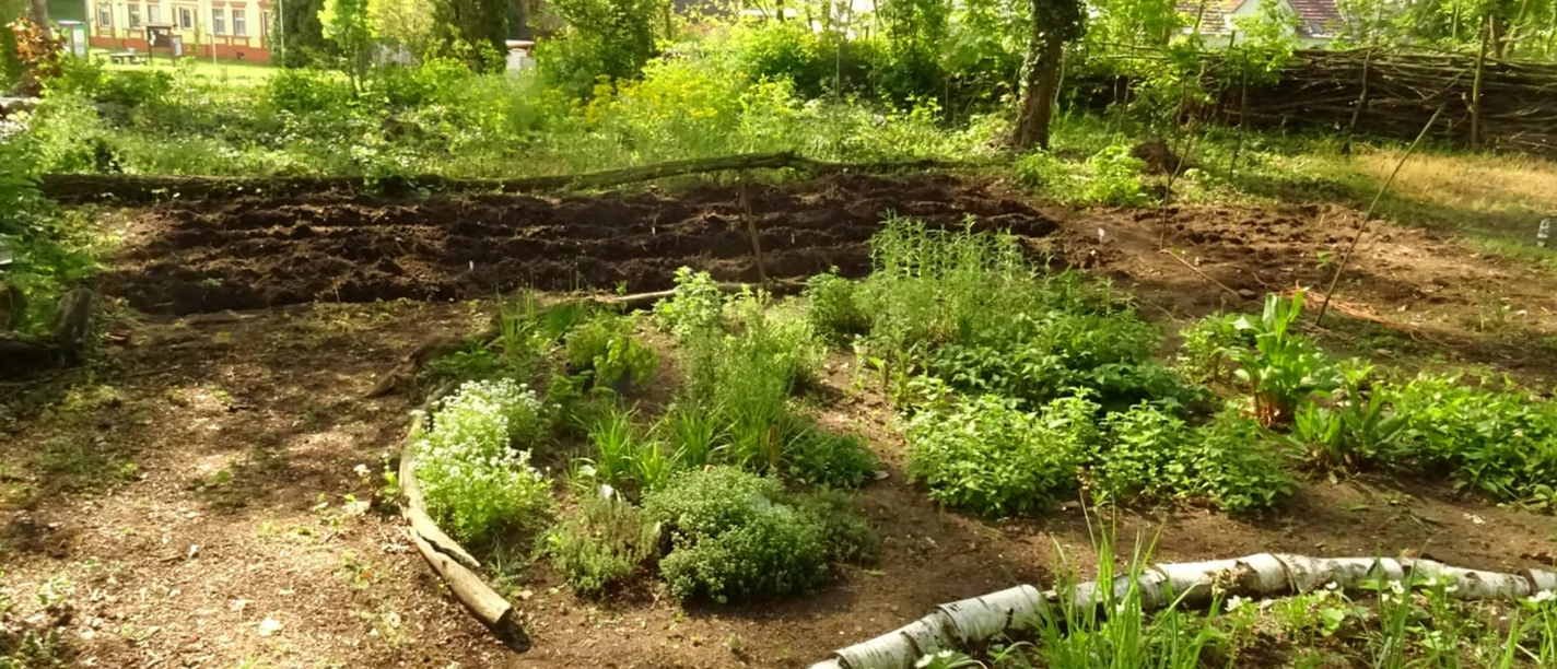 Kräutergarten Kunstgut Krahne