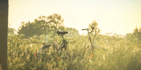 Wiesenfahrrad