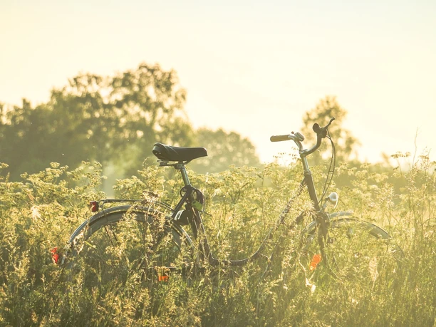 Wiesenfahrrad