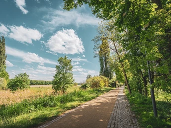 Insel Ziegenwerder in Frankfurt (Oder)