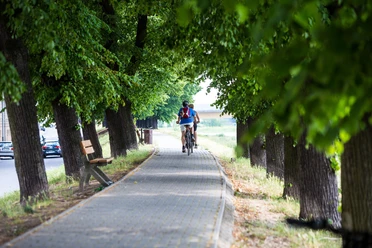 Radfahren entlang der Oderpromenade in Słubice