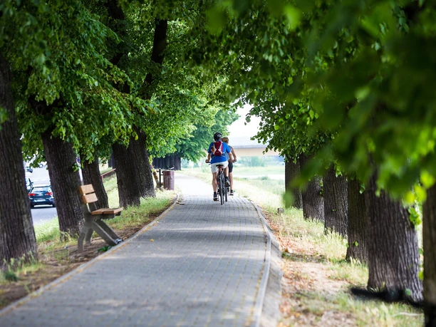 Radfahren entlang der Oderpromenade in Słubice
