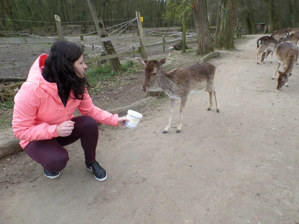 FamilienspaĂŸ Wildpark