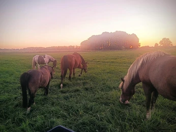 Foto: Friederike Raum, Lizenz: Friederike Raum