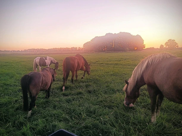 Foto: Friederike Raum, Lizenz: Friederike Raum