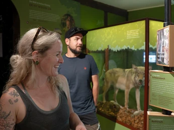 Naturparkausstellung "Ritterburgen, Rummeln, Riesensteine"