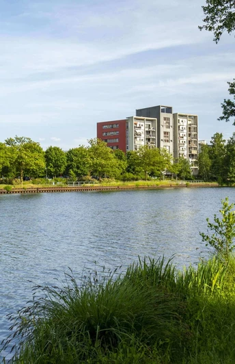 Blick auf "Insel" Eisenhüttenstadt