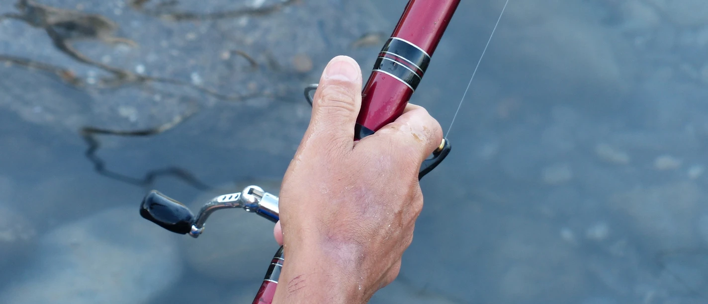 Foto: Hans auf Pixabay