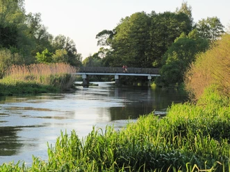 Blick vom Rastplatz in Mönchwinkel auf die Spree