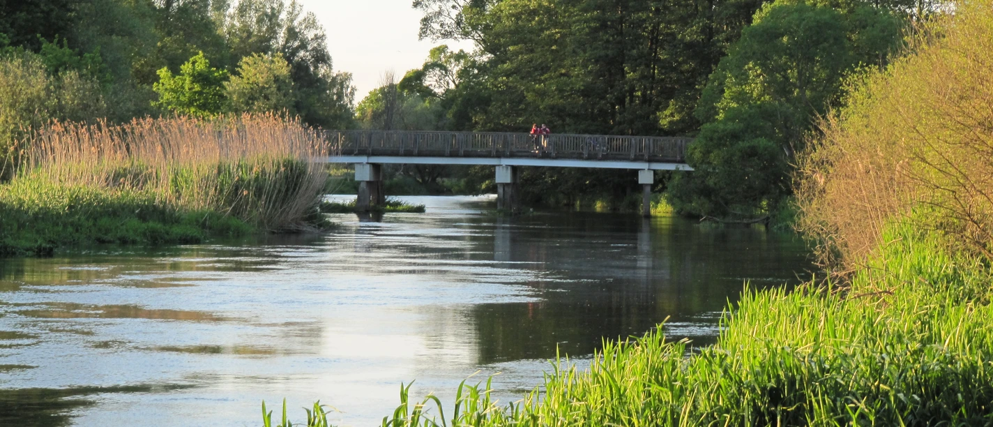 Blick vom Rastplatz in Mönchwinkel auf die Spree