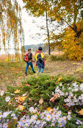 Uferwanderung am glitzernden Scharmützelsee