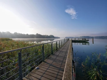 Birdwatching am Scharmützelsee