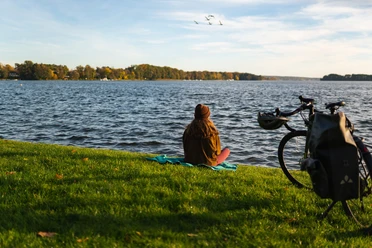 Birdwatching am Scharmützelsee