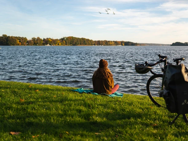 Birdwatching am Scharmützelsee