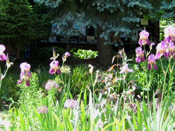 Schau- und Lehrgarten "Haus der Naturpflege"