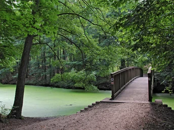 Hubertussteg am Wupatz Lehrpfad
