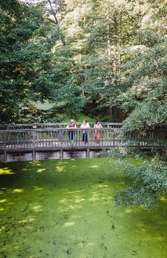 Brücke Wupatz Lehrpfad
