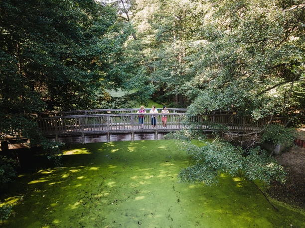 Brücke Wupatz Lehrpfad