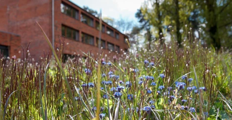 Umwelt-Bildungszentrum Berlin-Außenansicht