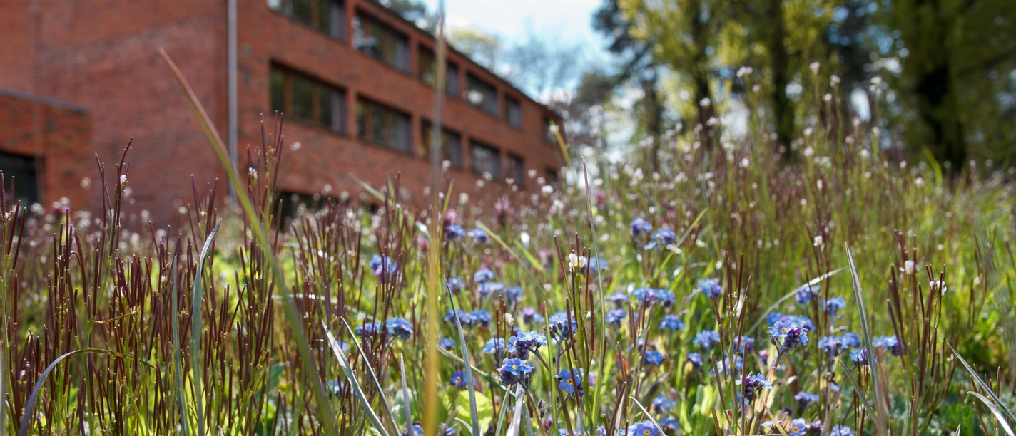 Umwelt-Bildungszentrum Berlin-Außenansicht