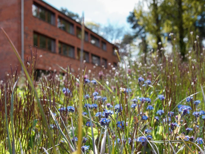 Umwelt-Bildungszentrum Berlin-Außenansicht