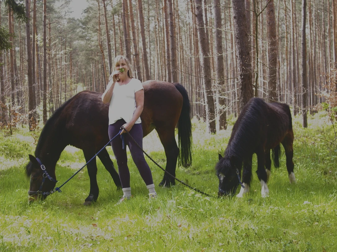 Ponywandern mit Soma&Ponies