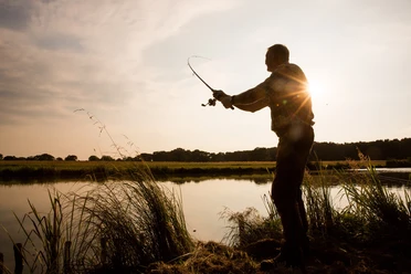 Angler