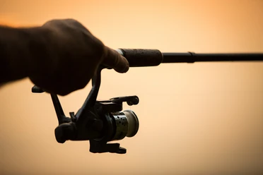 Angler
