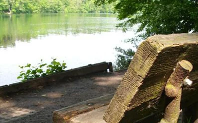 Am Straussee