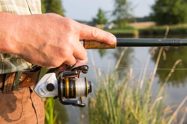 Angler