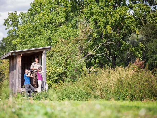 Aussichtsturm Altfriedländer Teiche