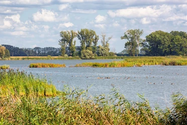 Altfriedländer Teiche