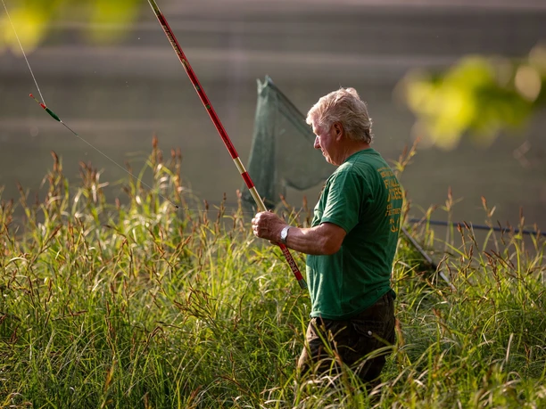 Treppelsee, hohes Gras
