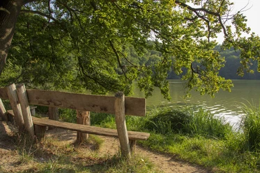Treppelsee