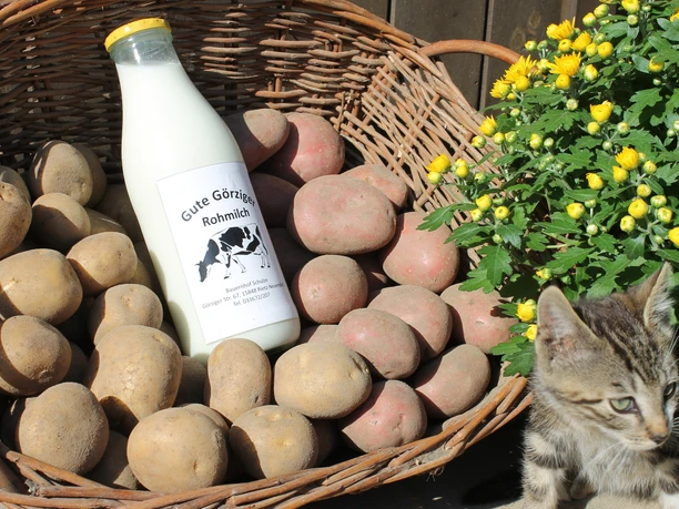 Bauernhof Schulze in Rietz-Neuendorf OT Görzig