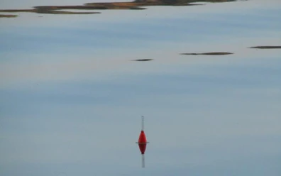 Angler