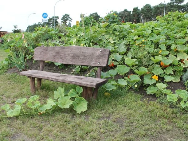 Öko-Landbau Thomas Syring