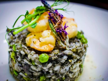 leckeres Essen im "Portofino"